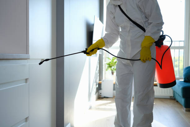 Professional Mold Removal in Lake Butler, FL